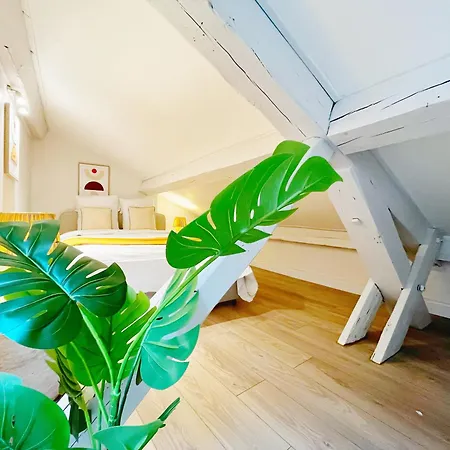 Appartement Dorset - Check In H24 - Wifi